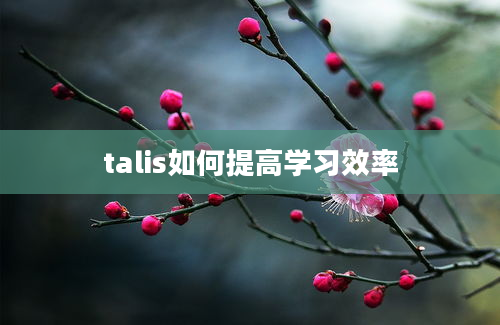 talis如何提高学习效率