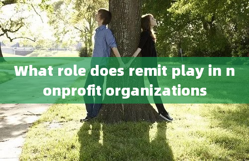 What role does remit play in nonprofit organizations