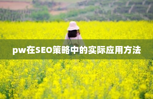 pw在SEO策略中的实际应用方法