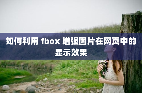 如何利用 fbox 增强图片在网页中的显示效果