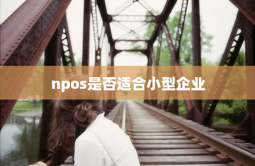 npos是否适合小型企业