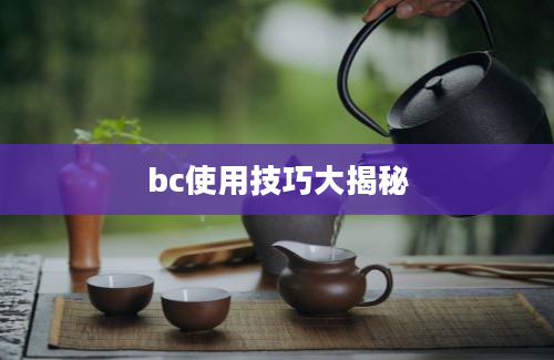 bc使用技巧大揭秘