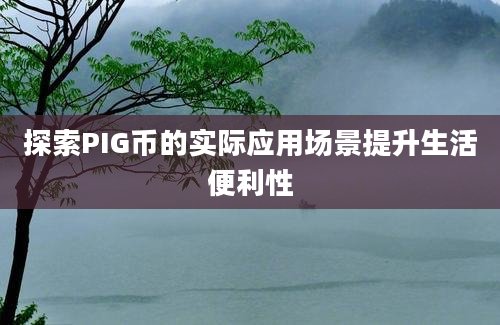 探索PIG币的实际应用场景提升生活便利性