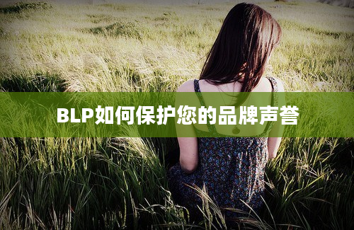 BLP如何保护您的品牌声誉