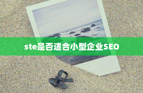 ste是否适合小型企业SEO