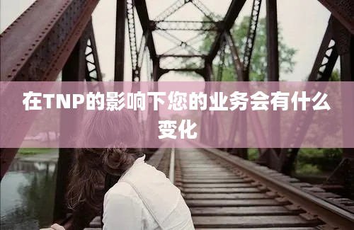 在TNP的影响下您的业务会有什么变化