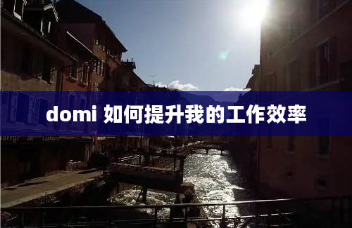 domi 如何提升我的工作效率