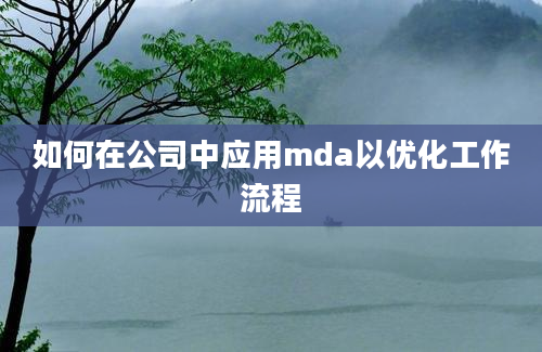 如何在公司中应用mda以优化工作流程