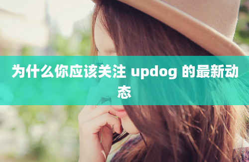 为什么你应该关注 updog 的最新动态