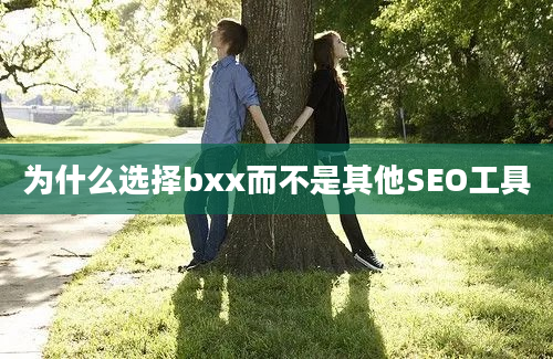 为什么选择bxx而不是其他SEO工具