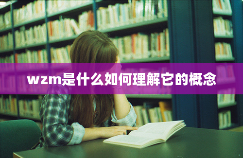 wzm是什么如何理解它的概念