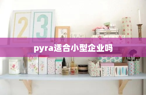 pyra适合小型企业吗