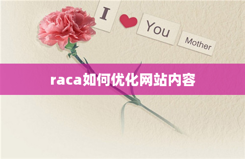 raca如何优化网站内容