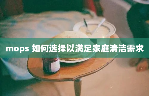 mops 如何选择以满足家庭清洁需求