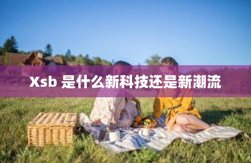 Xsb 是什么新科技还是新潮流