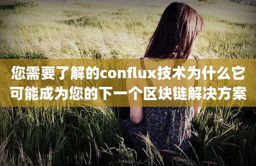 您需要了解的conflux技术为什么它可能成为您的下一个区块链解决方案