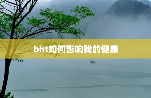 bht如何影响我的健康