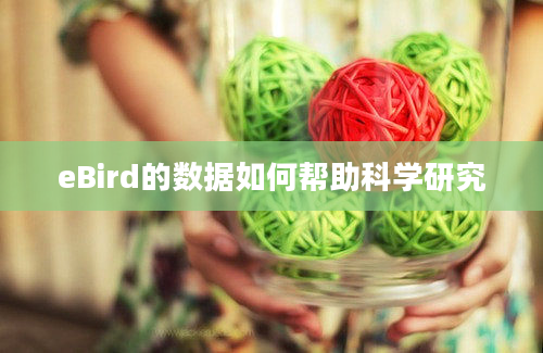 eBird的数据如何帮助科学研究