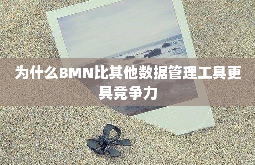 为什么BMN比其他数据管理工具更具竞争力