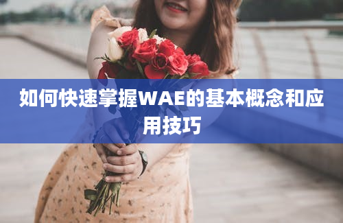 如何快速掌握WAE的基本概念和应用技巧