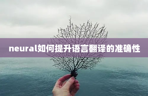 neural如何提升语言翻译的准确性