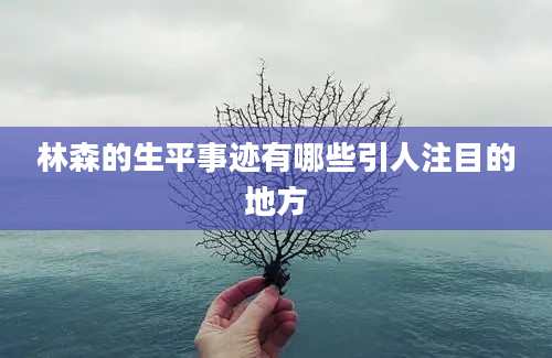 林森的生平事迹有哪些引人注目的地方