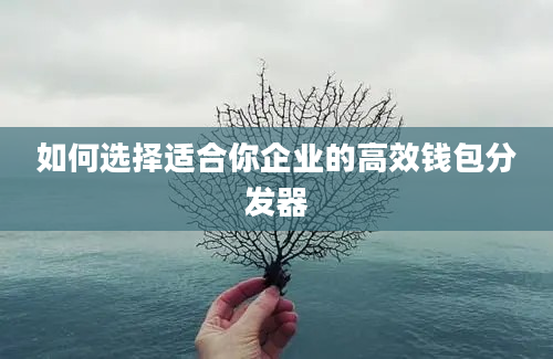 如何选择适合你企业的高效钱包分发器