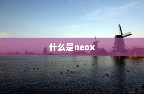 什么是neox