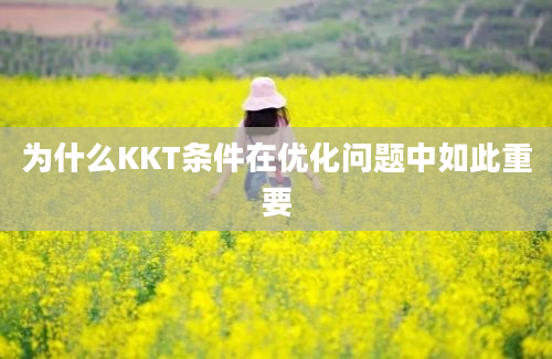 为什么KKT条件在优化问题中如此重要