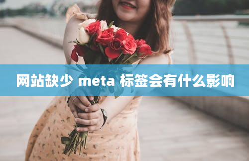 网站缺少 meta 标签会有什么影响