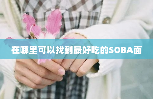 在哪里可以找到最好吃的SOBA面