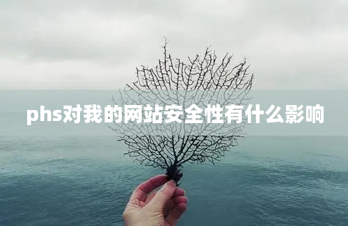 phs对我的网站安全性有什么影响