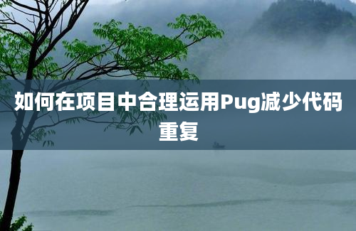 如何在项目中合理运用Pug减少代码重复