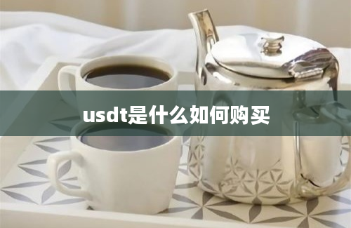 usdt是什么如何购买