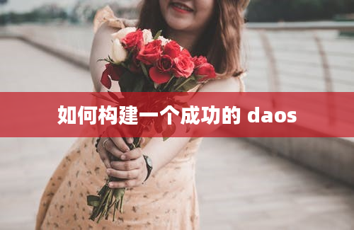 如何构建一个成功的 daos