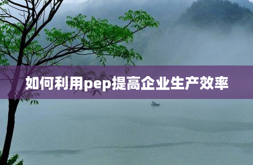 如何利用pep提高企业生产效率