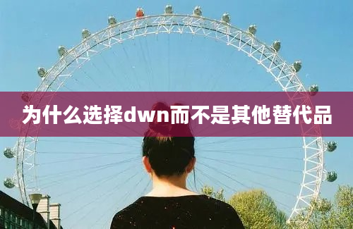 为什么选择dwn而不是其他替代品