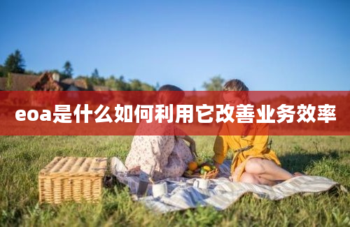 eoa是什么如何利用它改善业务效率