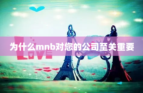 为什么mnb对您的公司至关重要