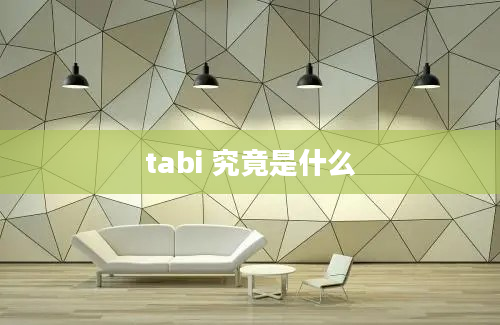 tabi 究竟是什么