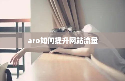 aro如何提升网站流量