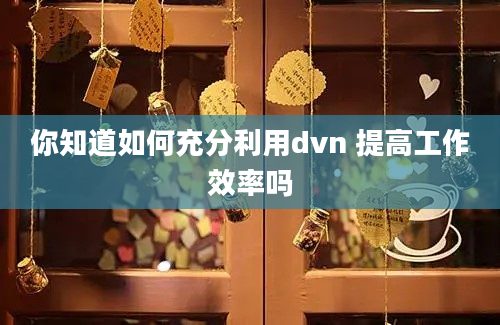 你知道如何充分利用dvn 提高工作效率吗