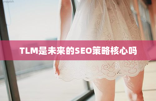 TLM是未来的SEO策略核心吗