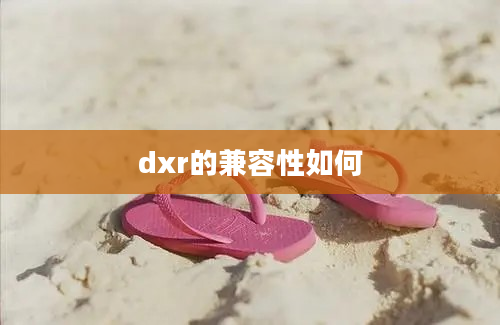 dxr的兼容性如何