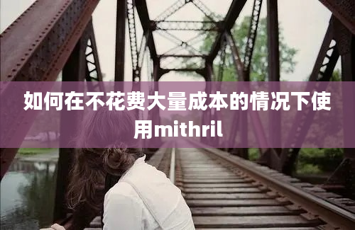 如何在不花费大量成本的情况下使用mithril