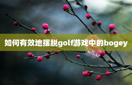 如何有效地摆脱golf游戏中的bogey