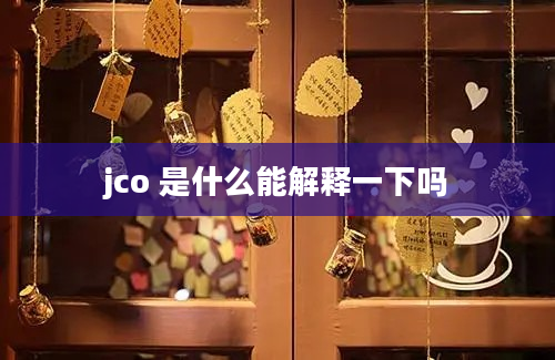 jco 是什么能解释一下吗