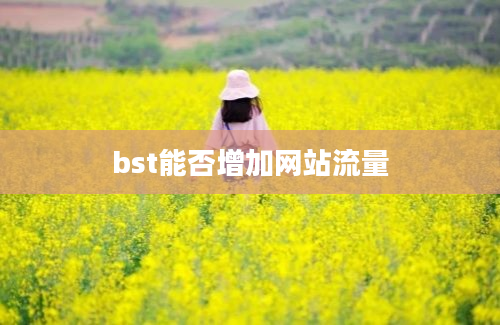 bst能否增加网站流量