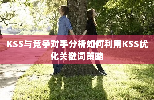 KSS与竞争对手分析如何利用KSS优化关键词策略