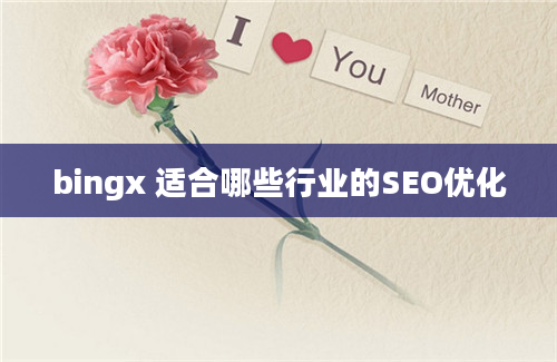 bingx 适合哪些行业的SEO优化